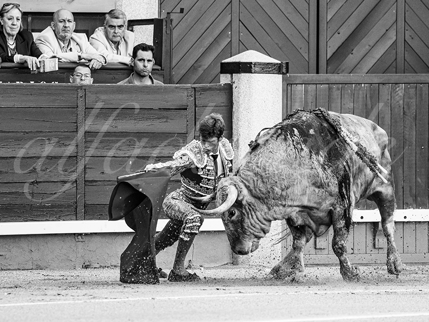 20260604 madrid bd 009