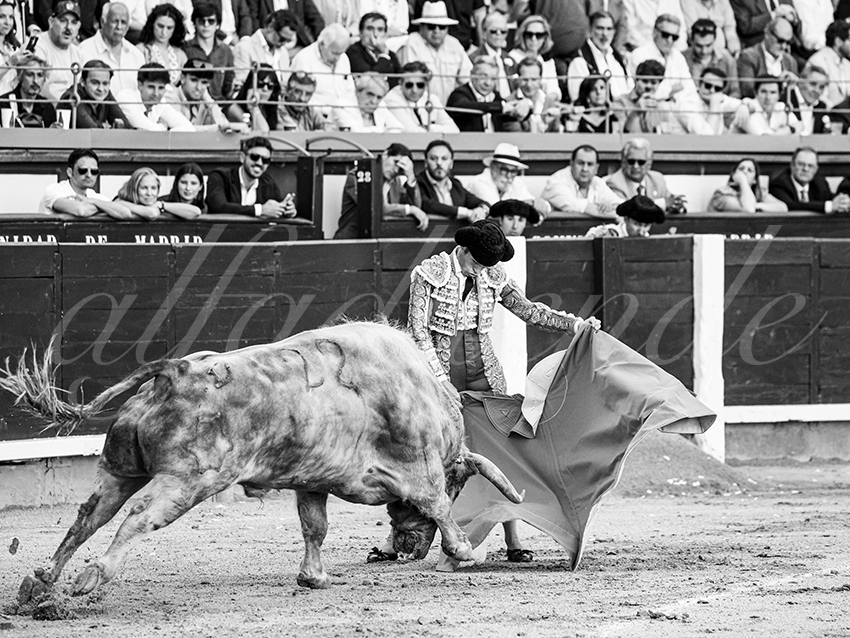20260604 madrid bd 007