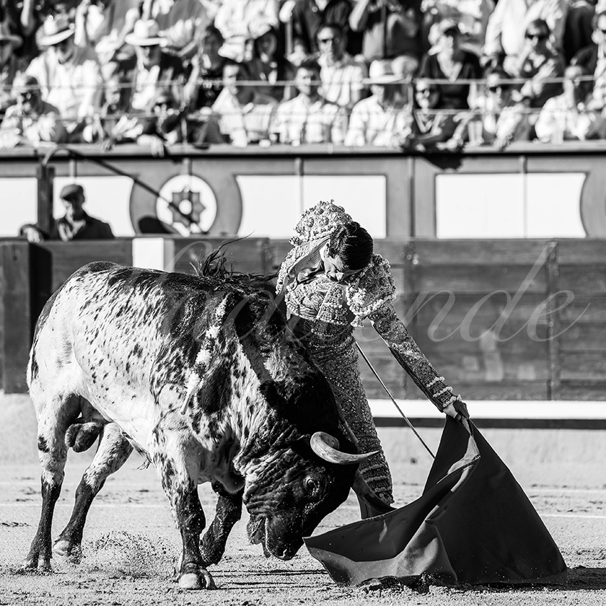 20260604 madrid bd 006