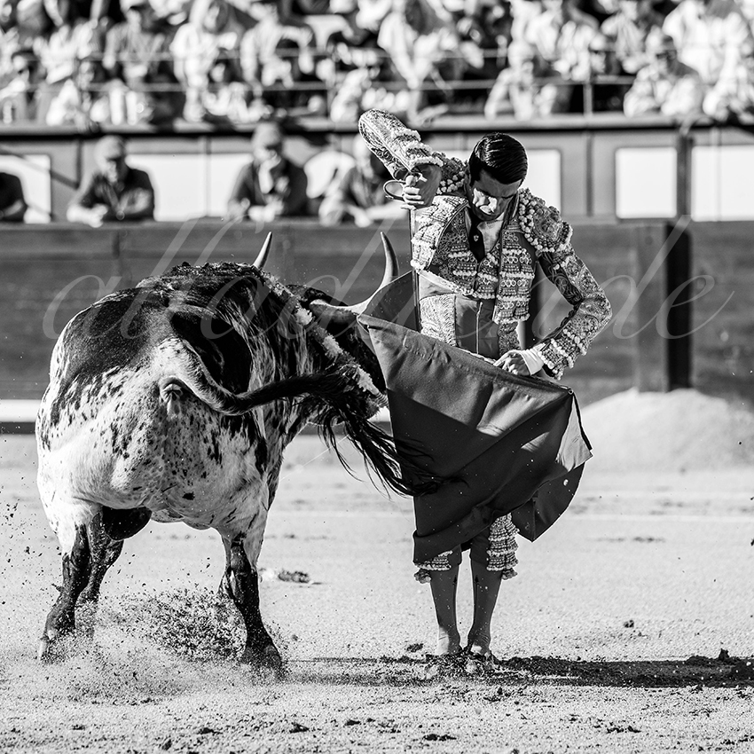 20260604 madrid bd 005