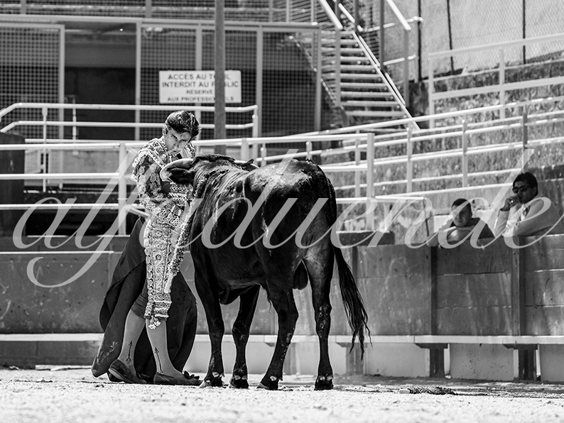 20260704 tarascon nsp fd 010 copie