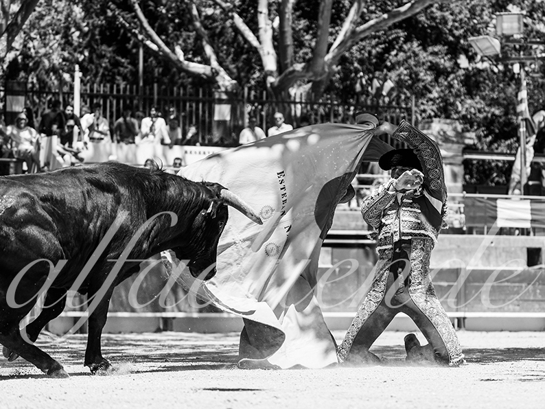 20260704 tarascon nsp fd 009 copie