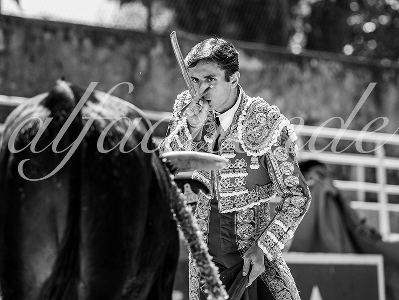 20260704 tarascon nsp fd 006 copie