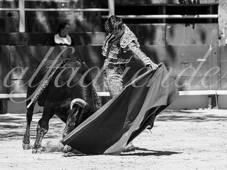 20260704 tarascon nsp fd 005 copie