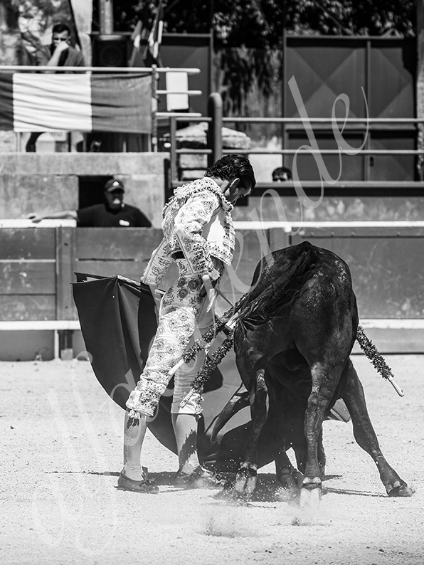 20260704 tarascon nsp fd 004 copie