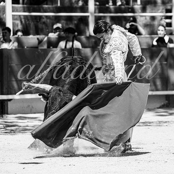 20260704 tarascon nsp fd 003 copie