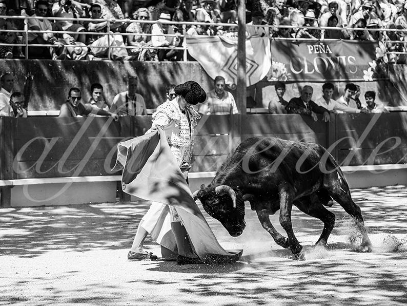 20260704 tarascon nsp fd 002 copie