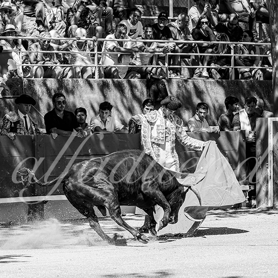 20260704 tarascon nsp fd 001 copie