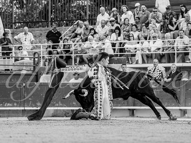 20260704 tarascon hd 009 copie