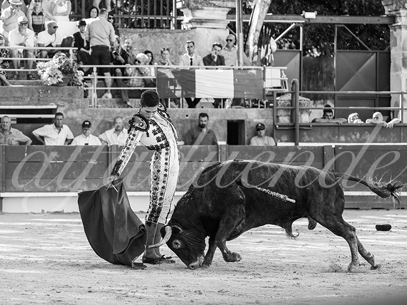 20260704 tarascon hd 007 copie