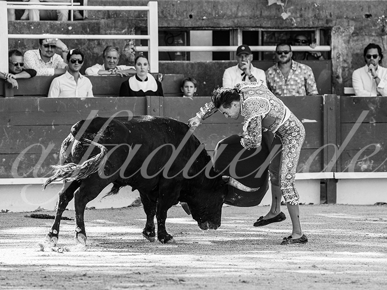 20260704 tarascon hd 004 copie