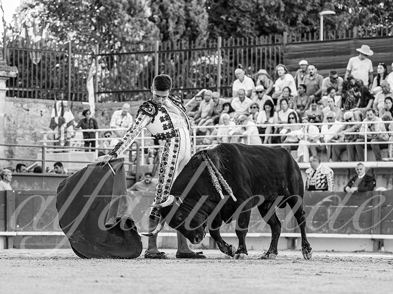 20260704 tarascon hd 010 copie