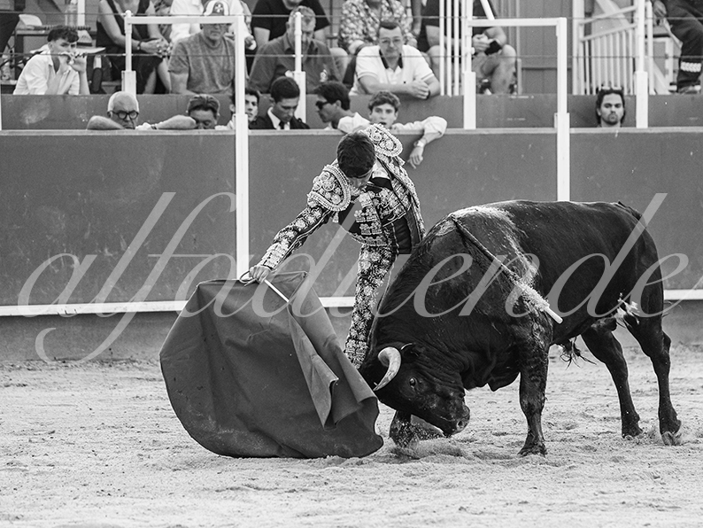 20260705 boujan nov fd 019 copie