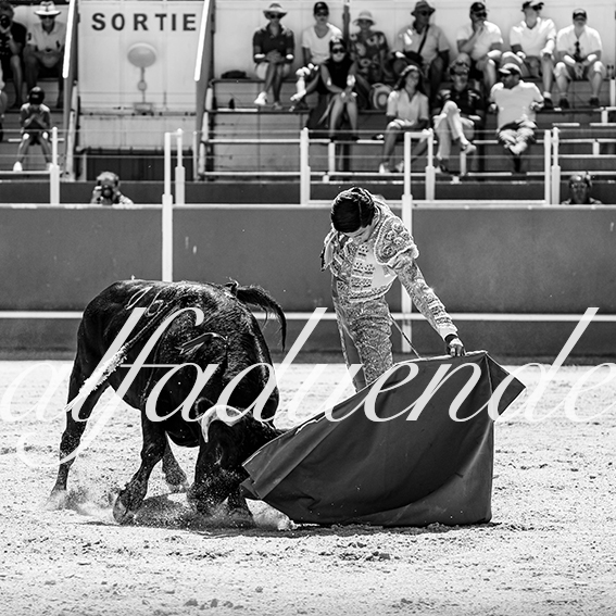 20260705 boujan nsp fd 018 copie