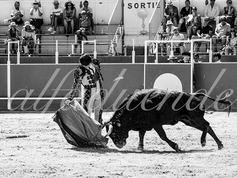 20260705 boujan nsp fd 007 copie