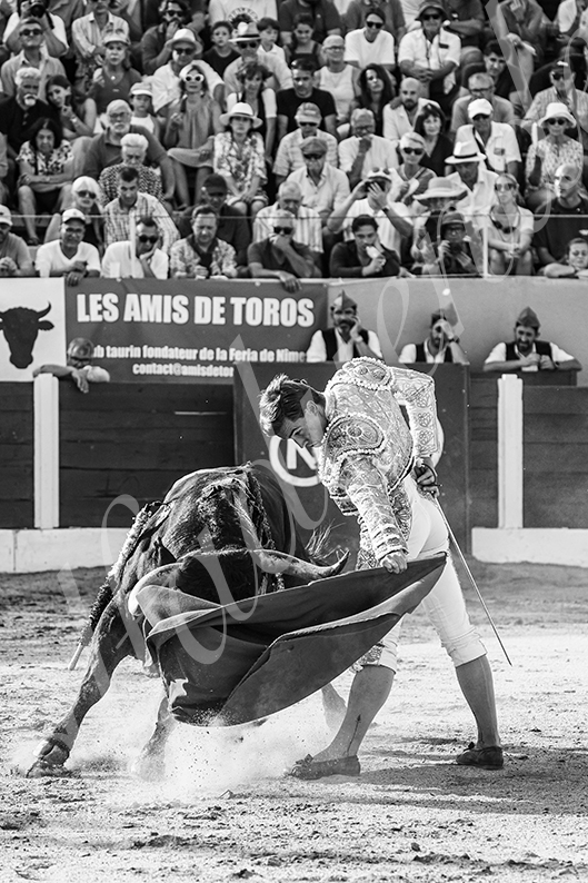 20260711 ceret fd 019