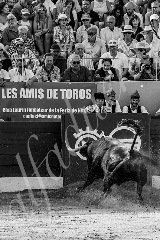 20260711 ceret fd 015