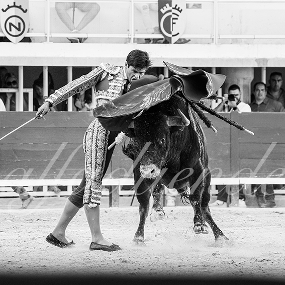 20260718 lunel fd 019