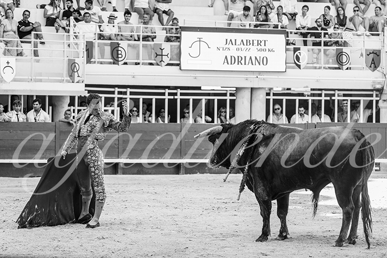 20260718 lunel fd 007