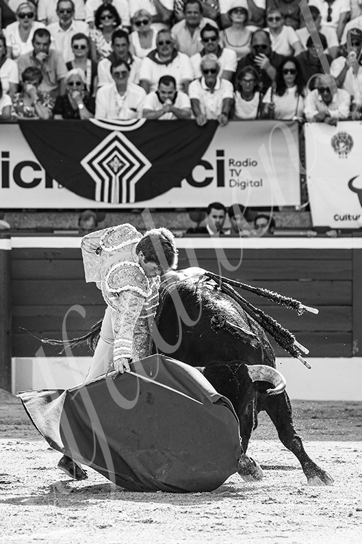 20260722 mt de marsan fd 008