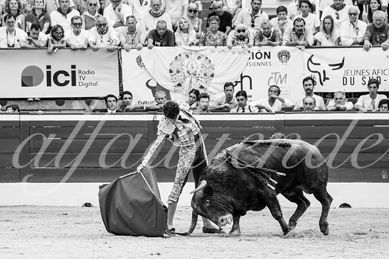 20260724 mt de marsan bd 010