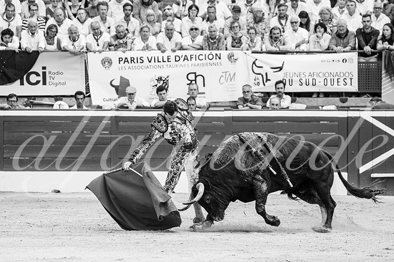 20260725 mt de marsan fd 018