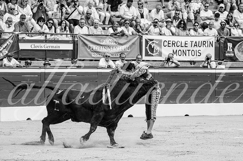 20260725 mt de marsan fd 015