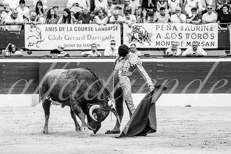 20260725 mt de marsan fd 003