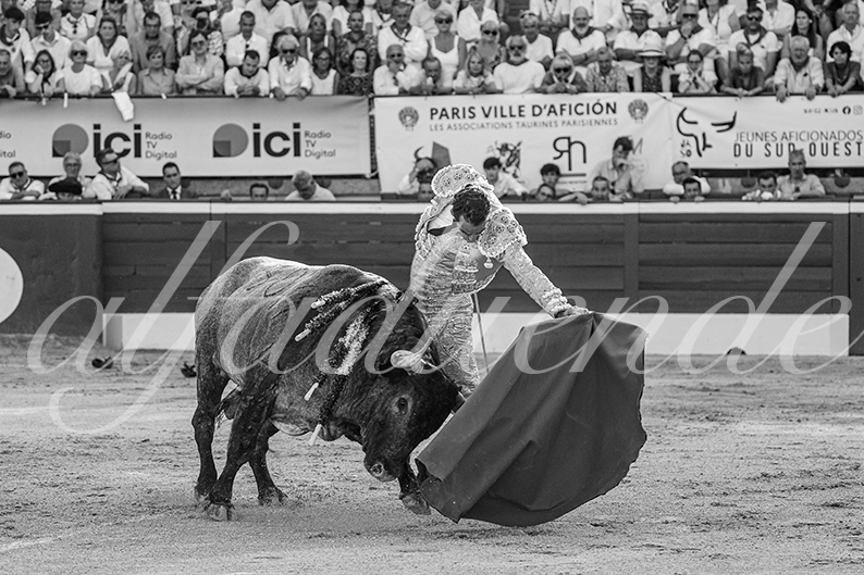 20260723 mt de marsan fd 008