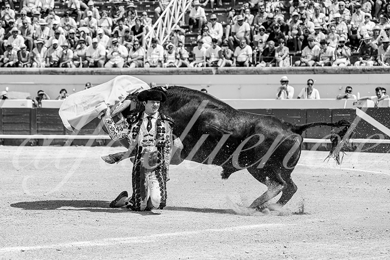 20260816 beziers fd 021