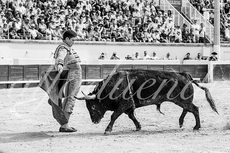 20260816 beziers fd 018