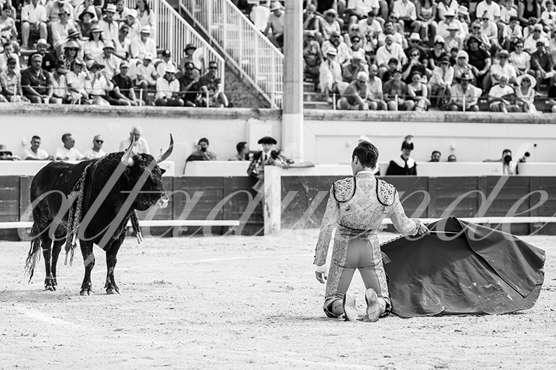 20260816 beziers fd 016
