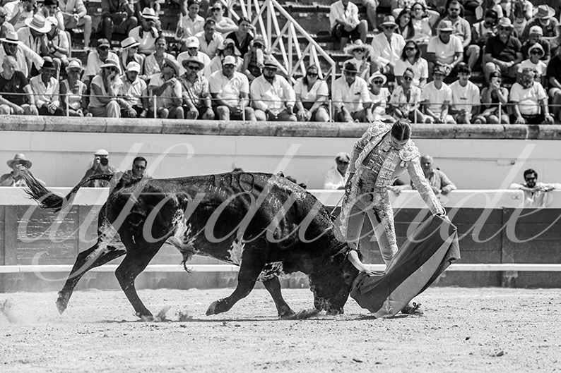 20260816 beziers fd 011