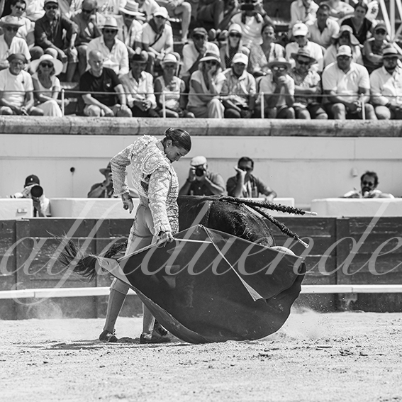 20260816 beziers fd 010
