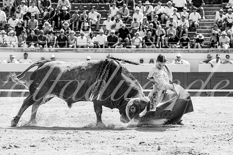 20260816 beziers fd 009