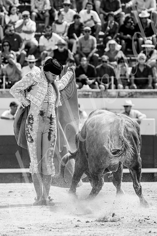 20260816 beziers fd 007