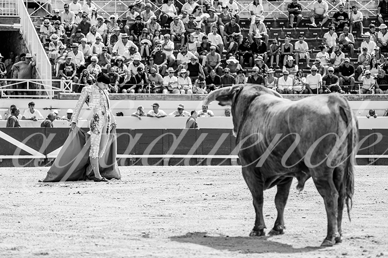 20260816 beziers fd 006