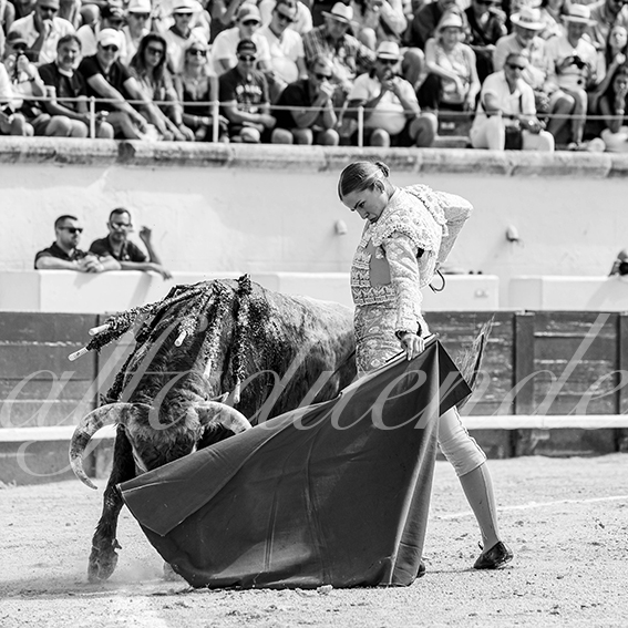 20260816 beziers fd 004