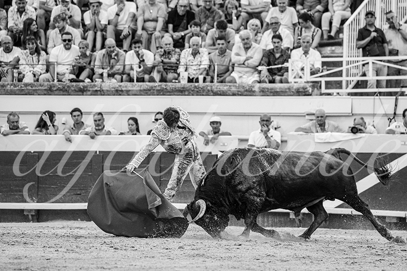 20260816 beziers tarde fd 021