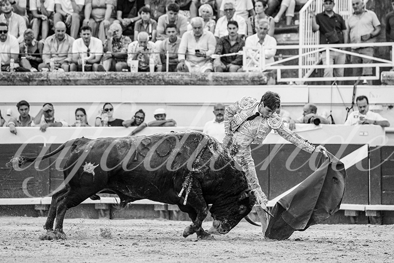 20260816 beziers tarde fd 020