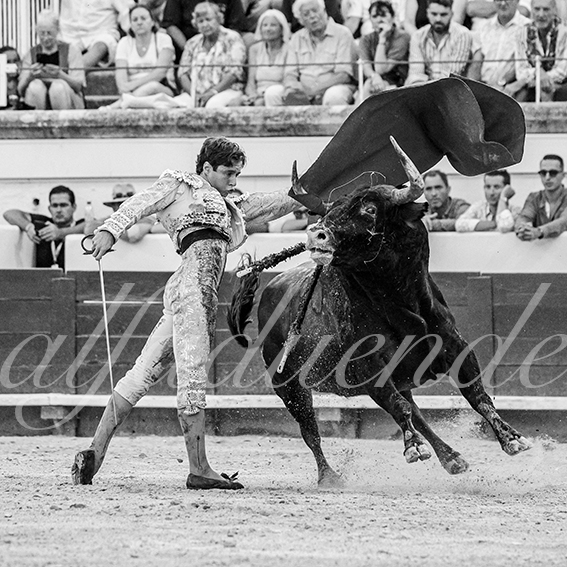 20260816 beziers tarde fd 019