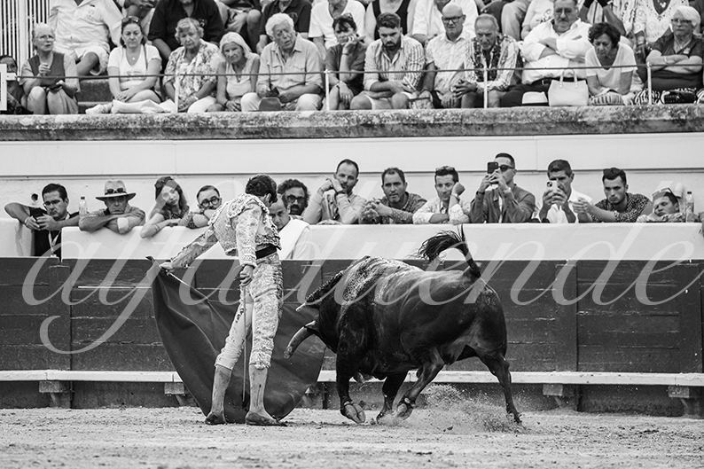 20260816 beziers tarde fd 017