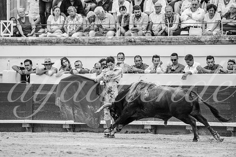 20260816 beziers tarde fd 016