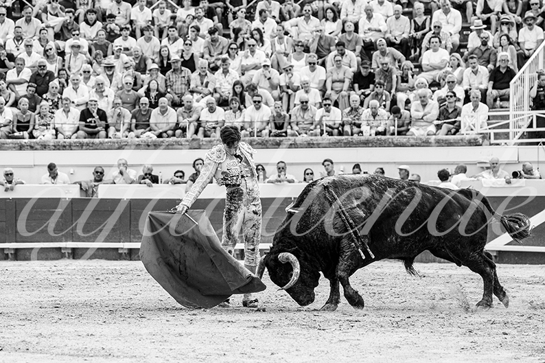 20260816 beziers tarde fd 014