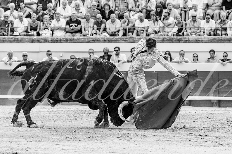 20260816 beziers tarde fd 013
