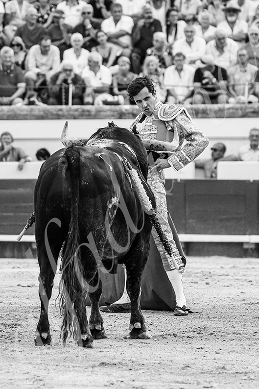 20260816 beziers tarde fd 012