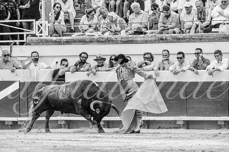 20260816 beziers tarde fd 008
