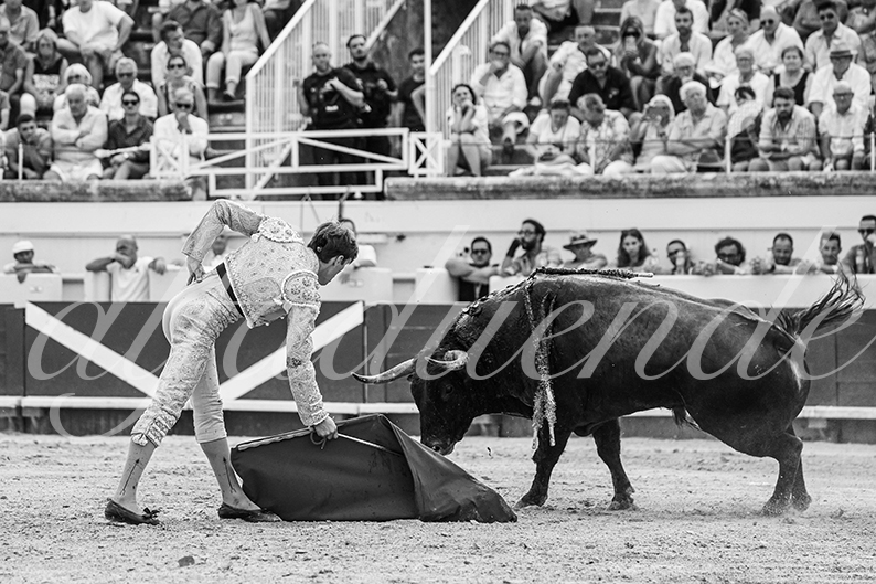 20260816 beziers tarde fd 005