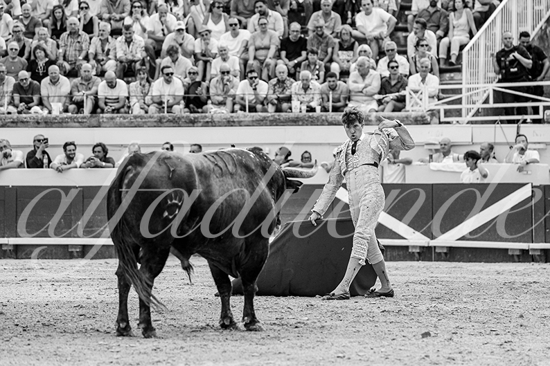 20260816 beziers tarde fd 004