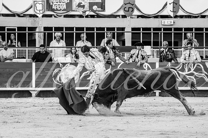 20260821 st gilles fd 020